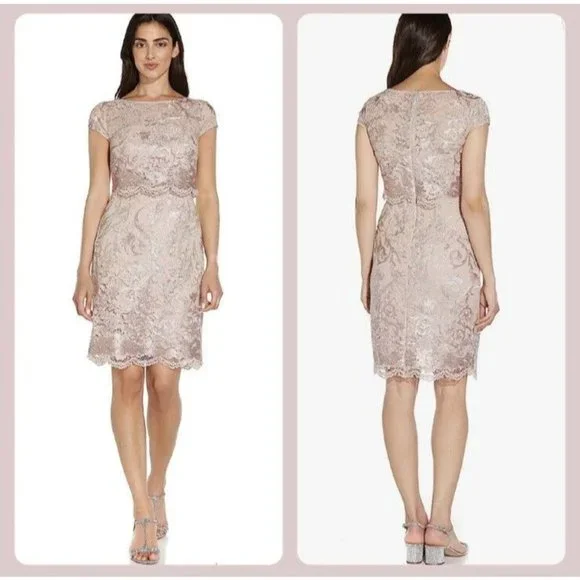 NWT Adrianna Papell Dusty Rose Embroidered Lace Popover Dress Size 2 NEW - Picture 15 of 15